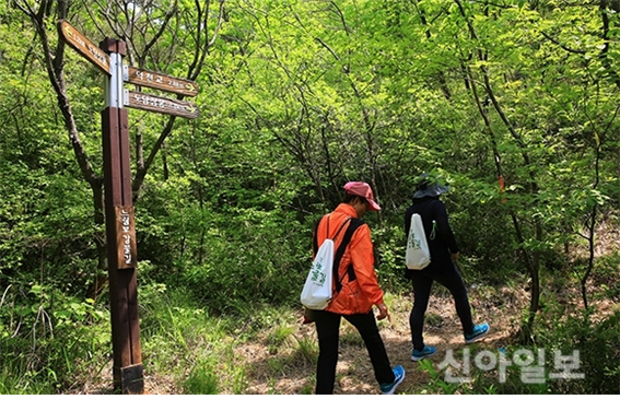 충북 단양군은 오는 3일(토), ‘느림보강물길 걷기행사’를 갖는다.