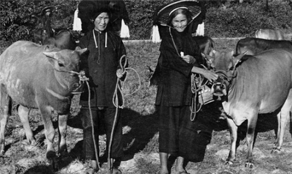 ▲샤 타우 콕의 주민들은 오래전에 광둥에서 내려온 학카(Hakka)족이다. 이들의 주업은 농업이었다.
